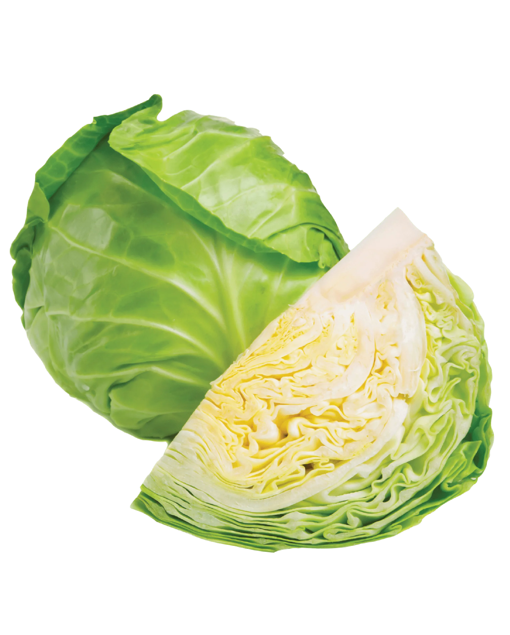Cabbage Cabbage 